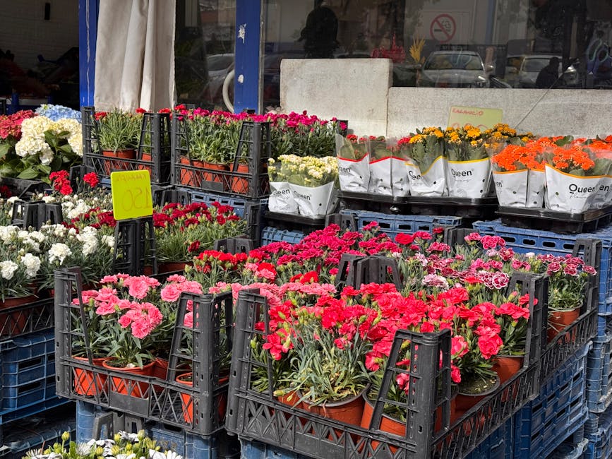 A display of various potted flowers arranged on black plastic crates outside a flower shop. The flowers include bright pink, red, white, orange, and yellow blooms, all with fresh, vibrant petals and g