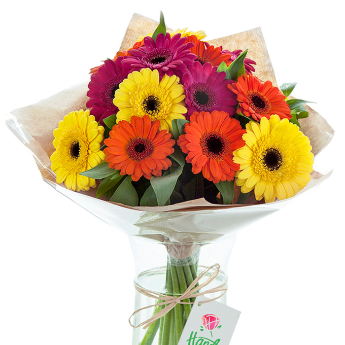 A joyful and exuberant display of Gerbera daisies takes centre stage, their brilliant hues shining under natural light like the morning sun rising over Stockwell Green. The bouquet blends lush, oversized blooms in vivid yellow, bright orange, and sumptuous deep magenta, each flower crowned with a signature dark centre, enhancing the arrangement's allure. Between the blossoms, glossy green foliage provides a gentle contrast, creating a tapestry of colour and texture. This expert floral ensemble is swathed in a rustic layer of kraft paper and a crinkled sheath of clear cellophane, offering both protection and a nod to classic florist tradition. Peering through the sparkling glass vase, stems are neatly trimmed and gathered, immersed in just enough water to prolong freshness-a hallmark of quality from a local Stockwell florist. A simple loop of twine nestles just below the flower heads, holding a crisp white tag etched with a delicate red rose, quietly suggesting a sense of occasion. This arrangement calls to mind moments of celebration-birthdays in a terraced house off Clapham Road, anniversaries shared in a Stockwell café, or simply bringing the zest of the outdoors into a busy flat. Every element in the bouquet is thoughtfully composed, reflecting the care and personality of Stockwell Flowers and the vibrant, diverse community it serves.