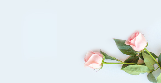 Sympathy Flowers 